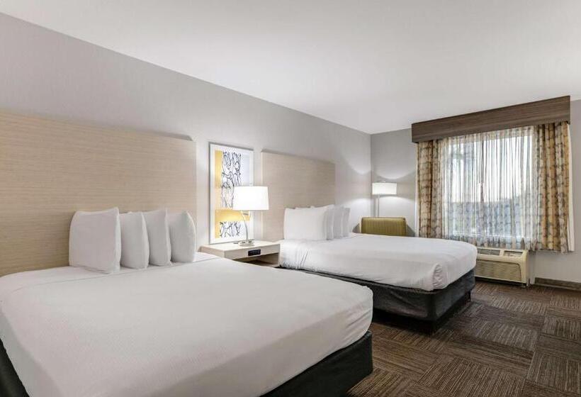 בית מלון כפרי Best Western Auburndale Inn & Suites