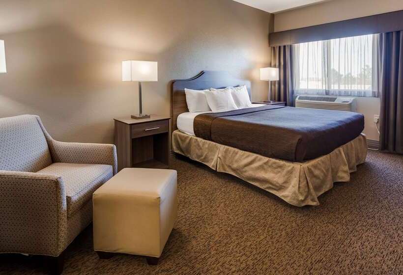 فندق Best Western El Quartelejo Inn & Suites