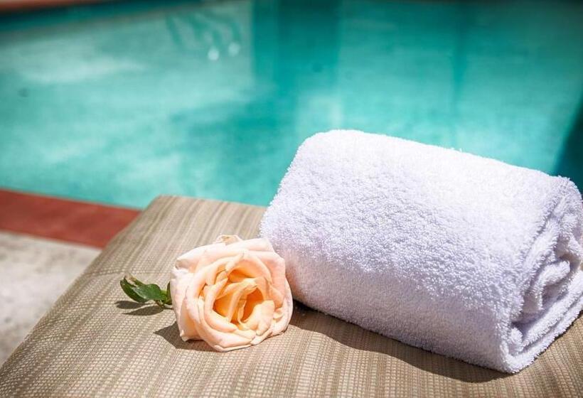 호텔 Best Western Plus Country Park