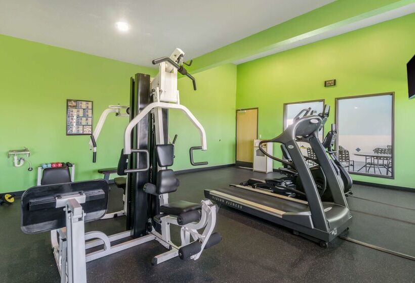 فندق Best Western Plus Grapevine Inn