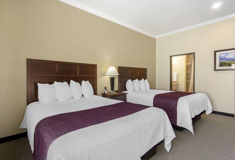 فندق Best Western Plus Grapevine Inn