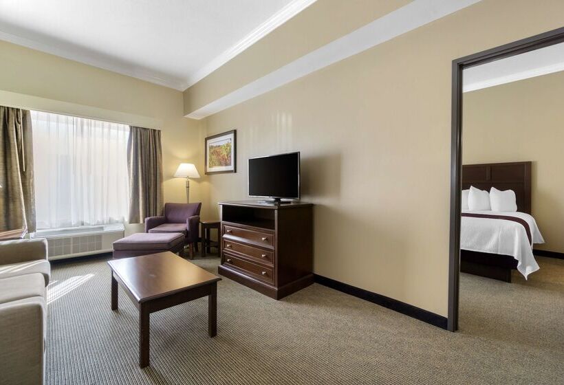 فندق Best Western Plus Grapevine Inn