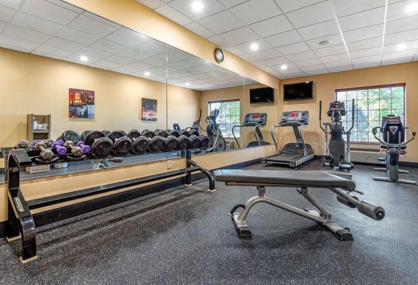 בית מלון כפרי Best Western Plus Victor Inn & Suites