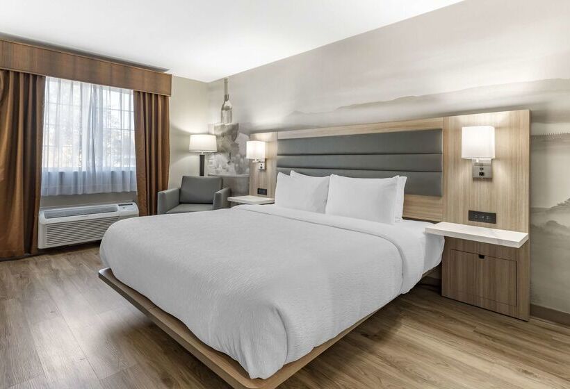 酒店 Best Western Plus Vineyard Inn