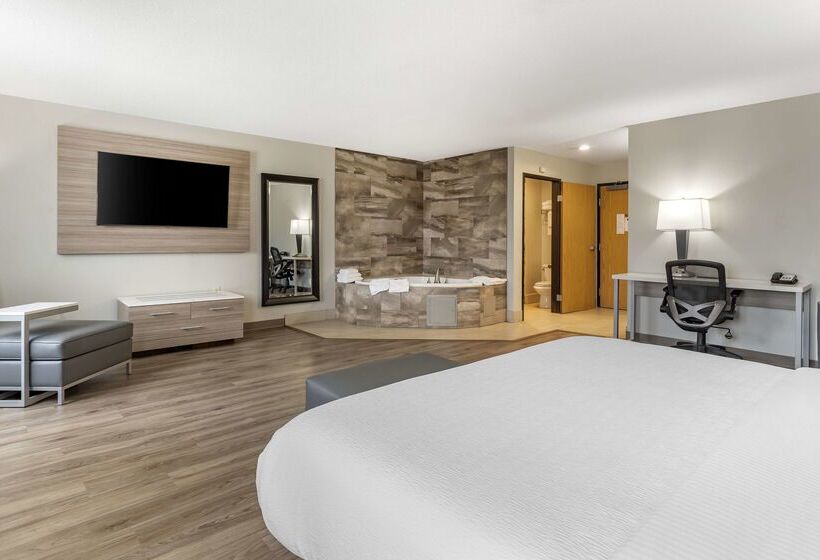 酒店 Best Western Plus Vineyard Inn