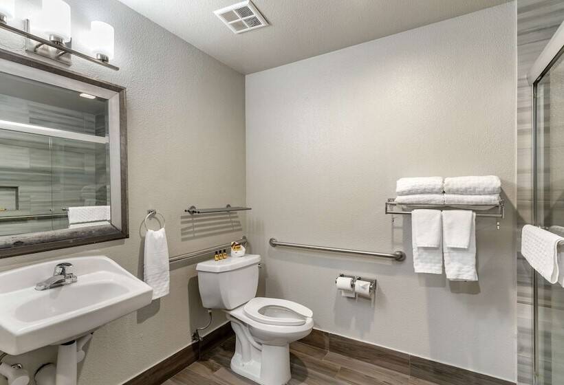 酒店 Best Western Plus Vineyard Inn