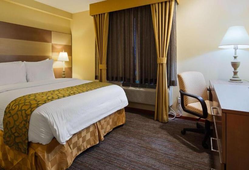 فندق Best Western Queens Court