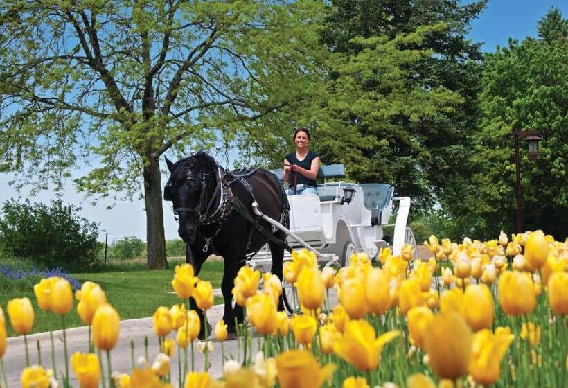 هتل Holiday Inn Club Vacations At Lake Geneva Resort, An Ihg