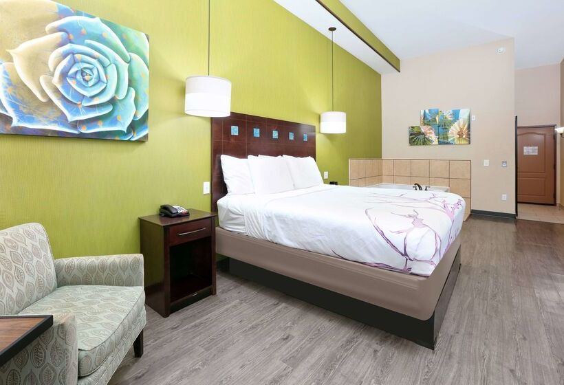 בית מלון כפרי La Quinta By Wyndham Dallas Grand Prairie South