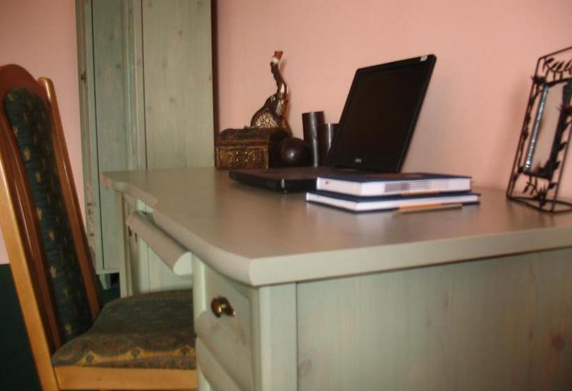 בית מלון כפרי Salin