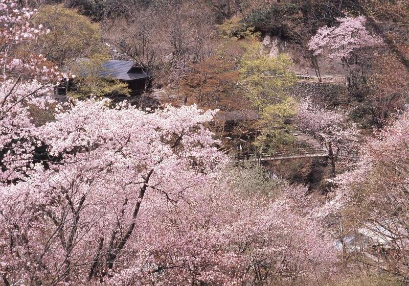 ホテル Takaragawa Onsen Ousenkaku