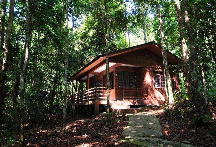 هتل Permai Rainforest Resort