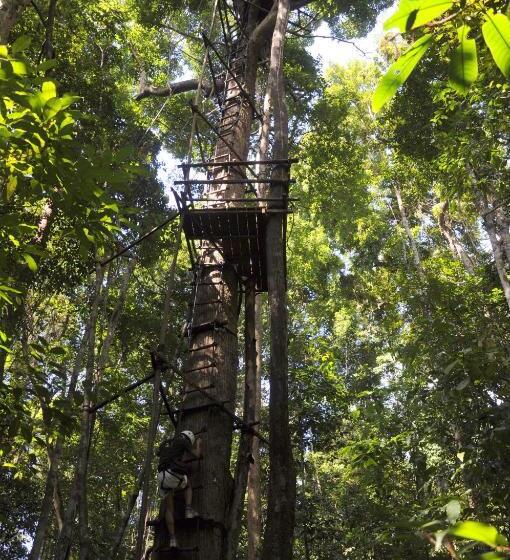 هتل Permai Rainforest Resort