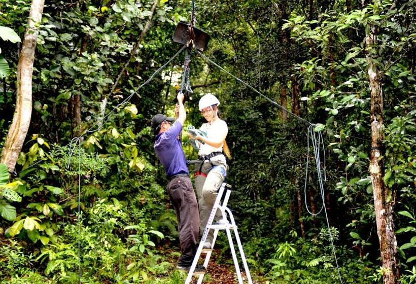 هتل Permai Rainforest Resort