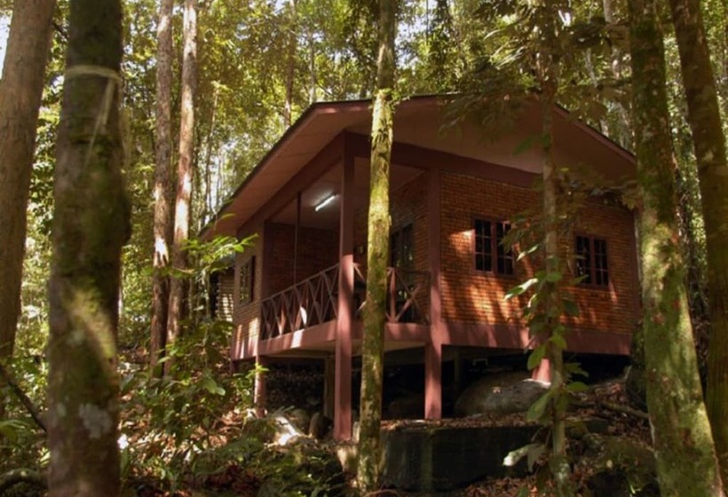 هتل Permai Rainforest Resort