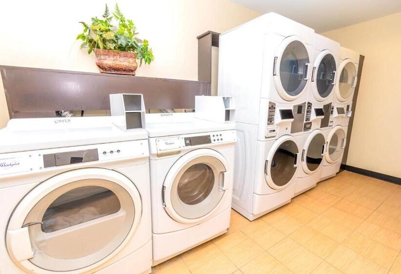 בית מלון כפרי Staybridge Suites Houston   Iah Airport, An Ihg