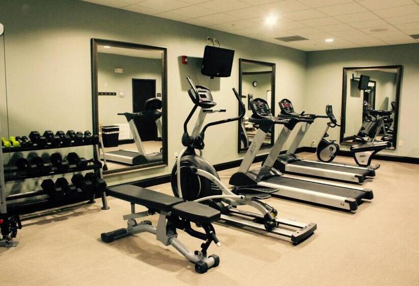 בית מלון כפרי Staybridge Suites Houston   Iah Airport, An Ihg