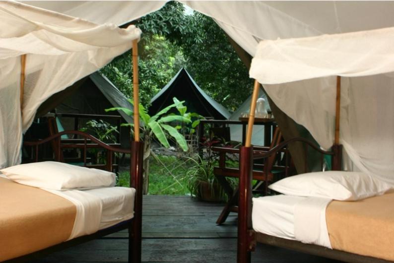 فندق Expediciones Mexico Verde