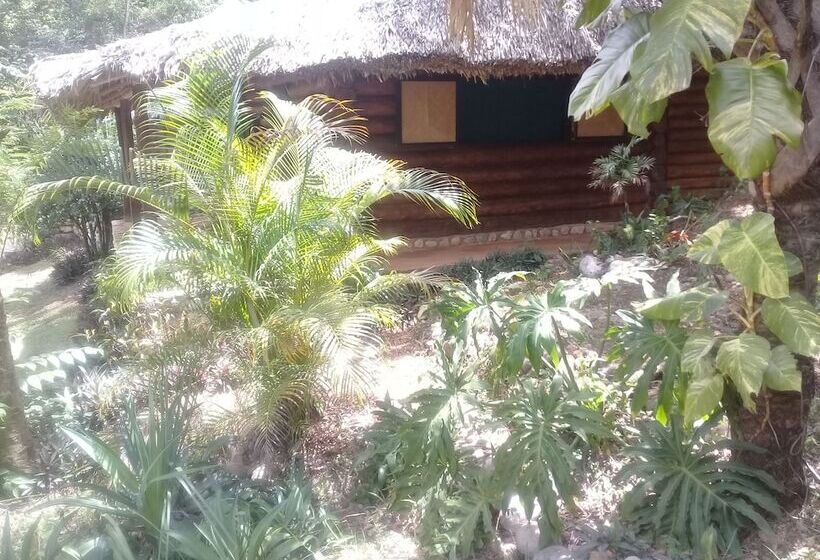 בית מלון כפרי Room In Lodge   Sierraverde Cabin Cabaña El Cedro