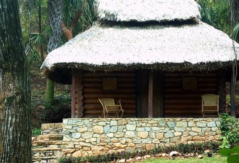 בית מלון כפרי Room In Lodge   Sierraverde Cabin Cabaña El Cedro