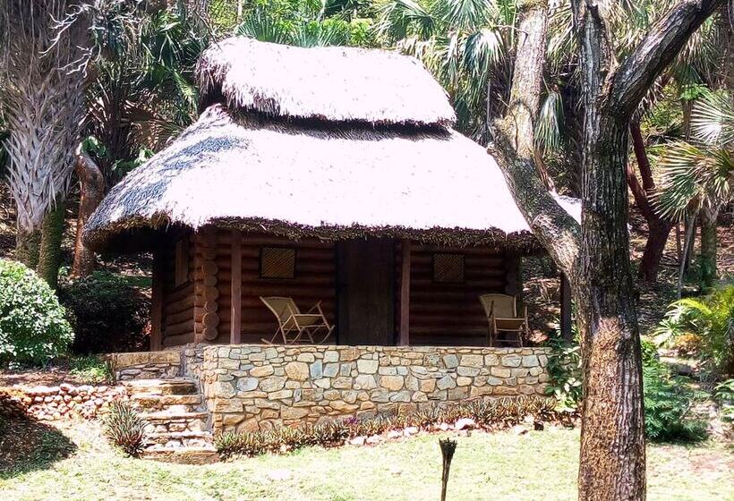 בית מלון כפרי Room In Lodge   Sierraverde Cabin Cabaña El Cedro