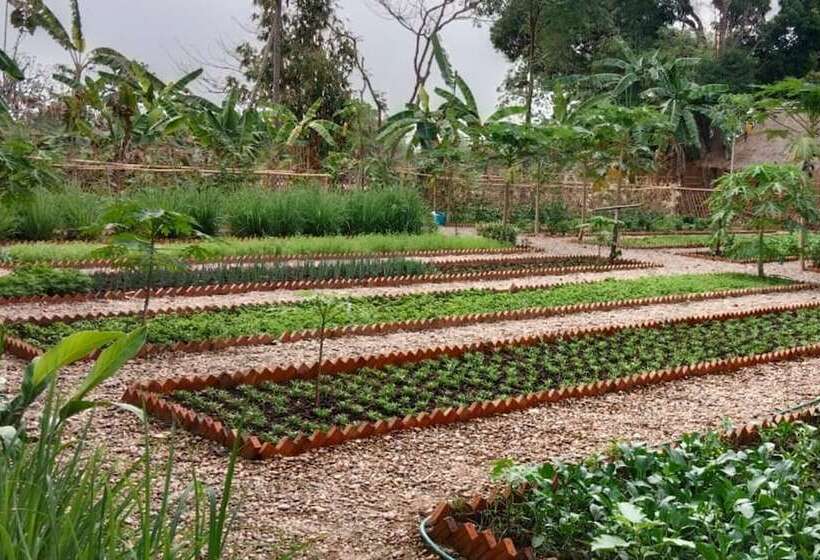 هتل La Folie Lodge