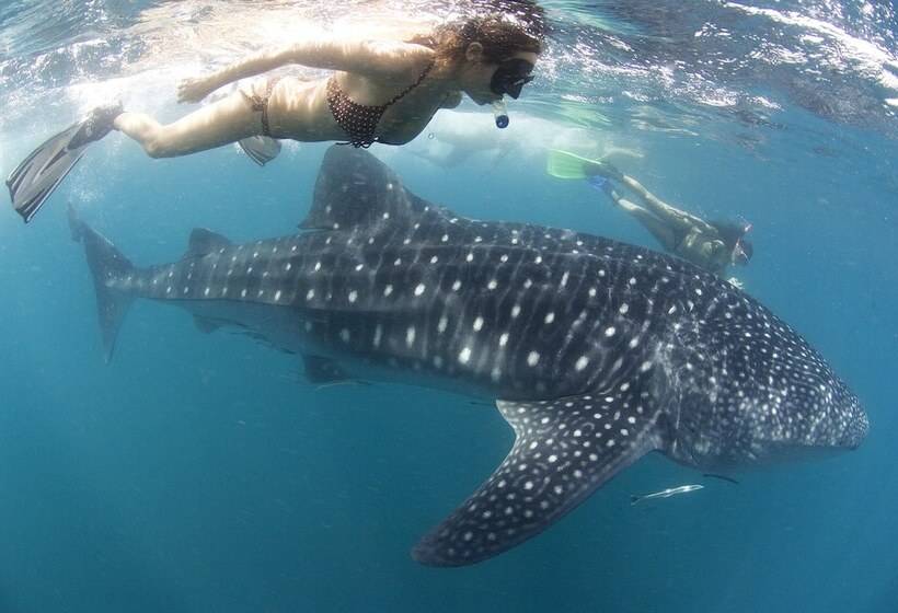 فندق Misibis Bay