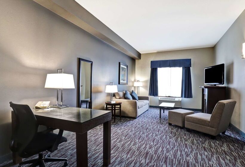 فندق Best Western Plus Brandon Inn