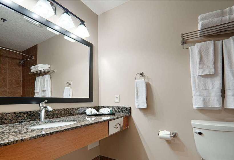 Отель Best Western Plus Chateau Inn Sylvan Lake