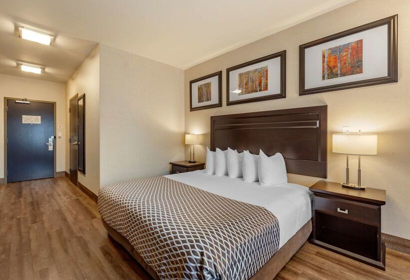 호텔 Best Western Plus The Inn At St Albert