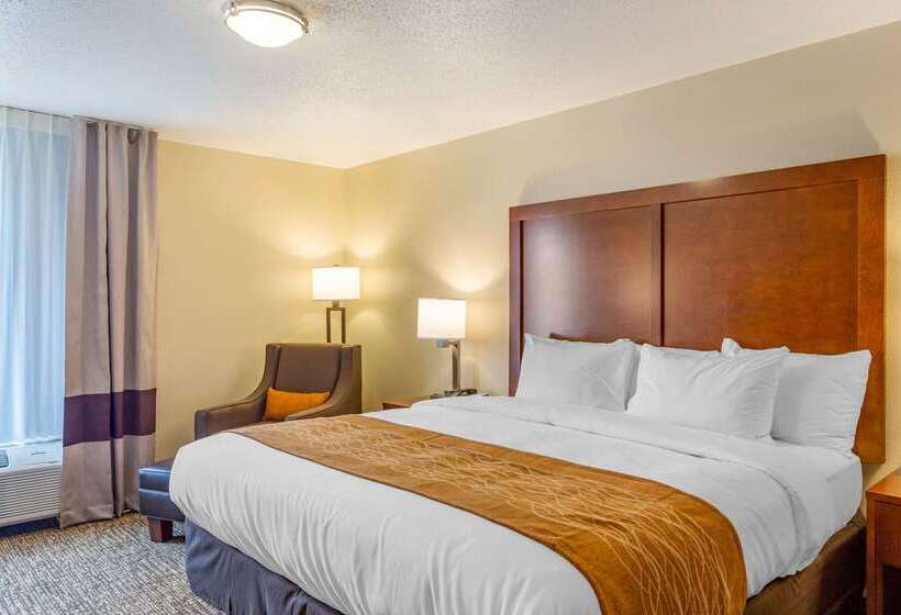 בית מלון כפרי Comfort Inn Dekalb  Adjacent The University