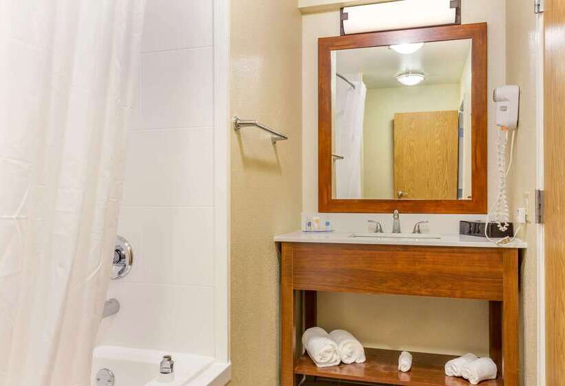 בית מלון כפרי Comfort Inn Dekalb  Adjacent The University