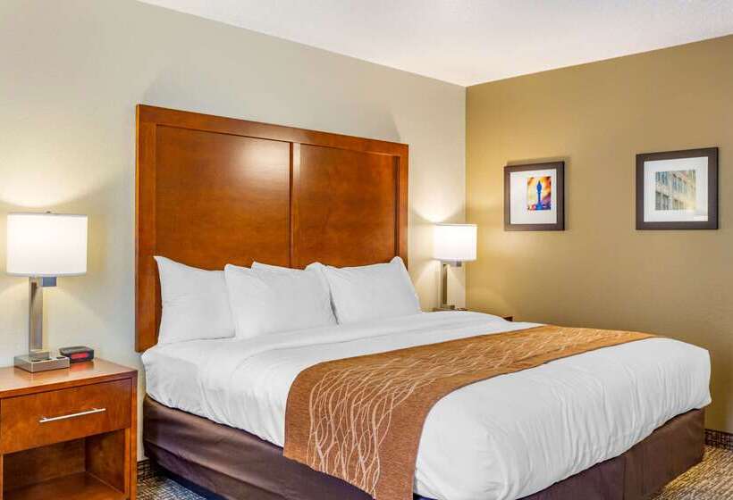 호텔 Comfort Inn Dekalb  Adjacent The University