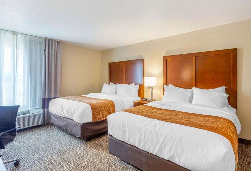 בית מלון כפרי Comfort Inn Dekalb  Adjacent The University