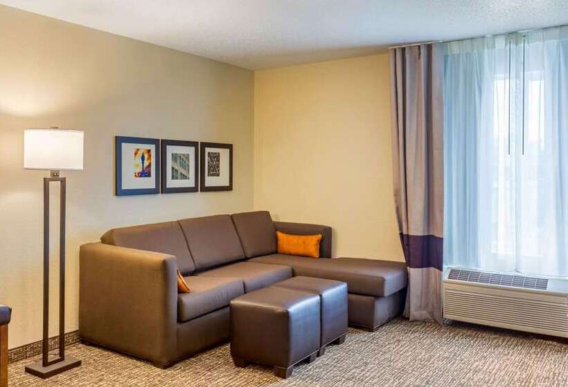 호텔 Comfort Inn Dekalb  Adjacent The University