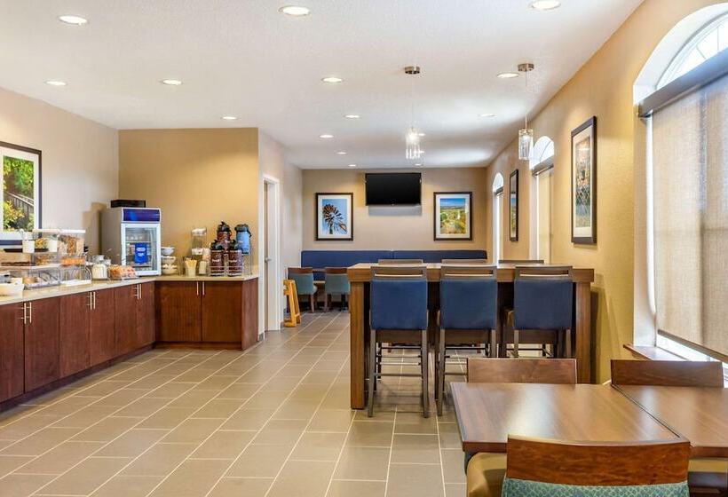 酒店 Comfort Inn Dekalb  Adjacent The University