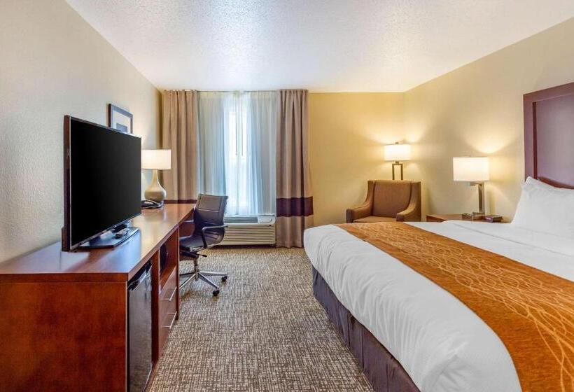 酒店 Comfort Inn Dekalb  Adjacent The University