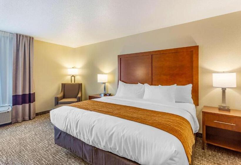 בית מלון כפרי Comfort Inn Dekalb  Adjacent The University