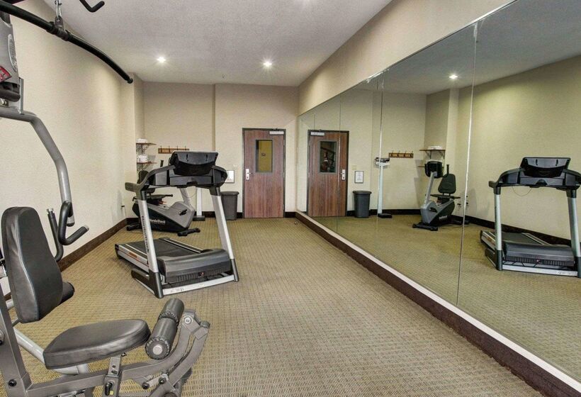 ホテル Comfort Inn & Suites