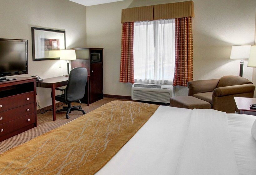 ホテル Comfort Inn & Suites