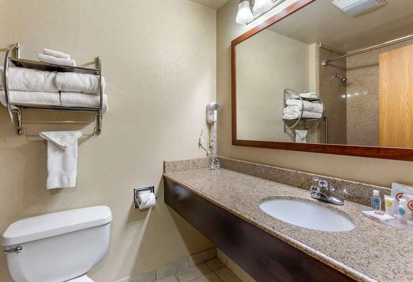 فندق Comfort Inn & Suites