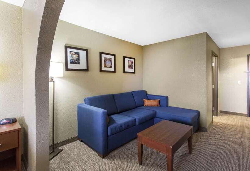 فندق Comfort Inn & Suites