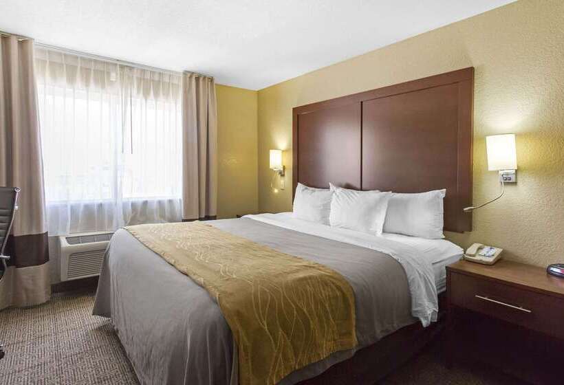 فندق Comfort Inn & Suites