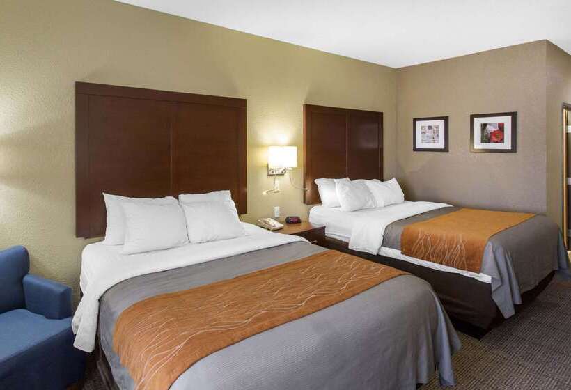 فندق Comfort Inn & Suites