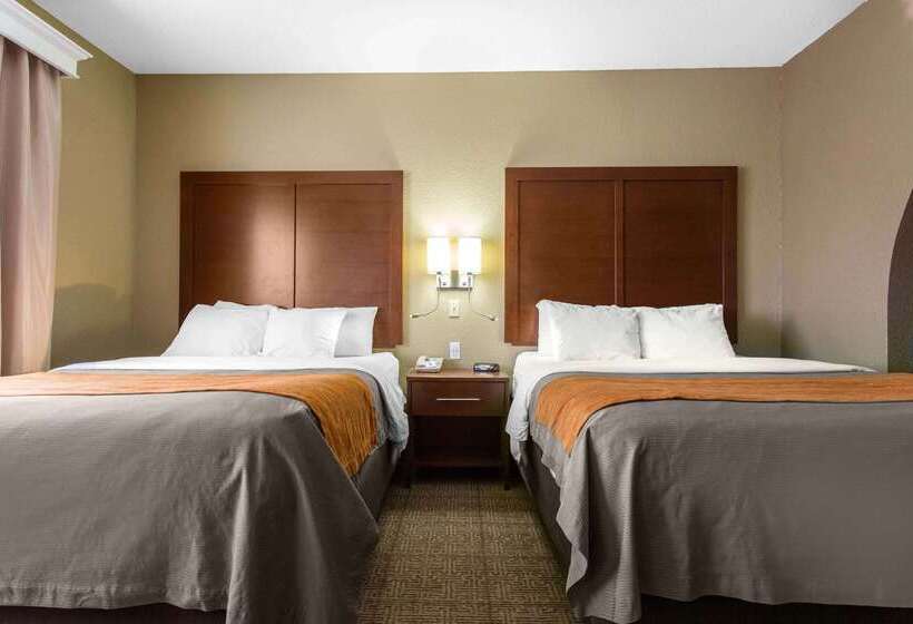 فندق Comfort Inn & Suites