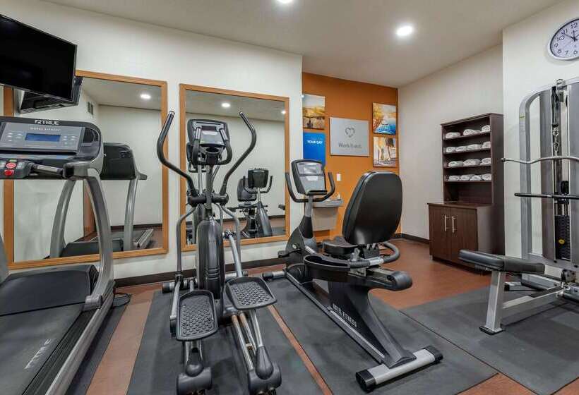 בית מלון כפרי Comfort Suites Auburn Near I69