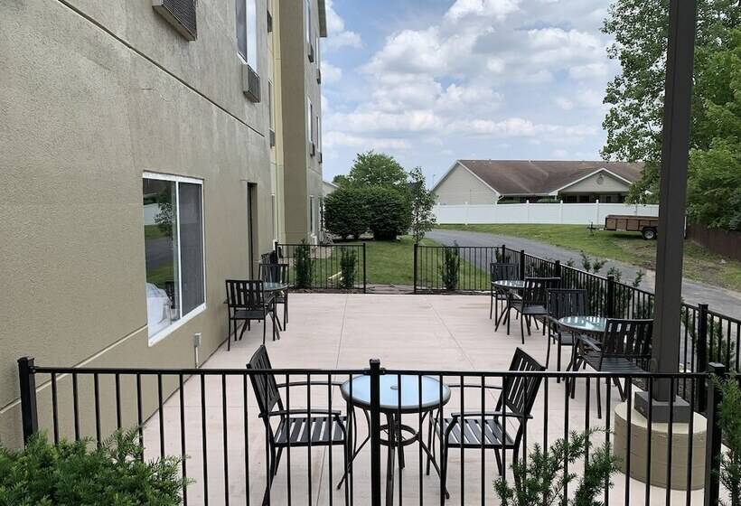 בית מלון כפרי Comfort Suites Auburn Near I69