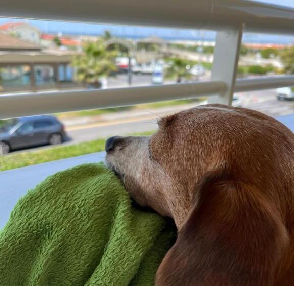 בית מלון כפרי Esplanade