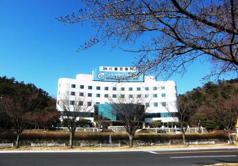 Отель Gyeongju Chosun Spa