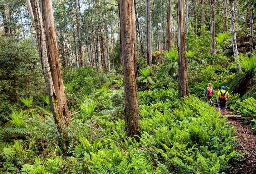 酒店 Walhallas Star